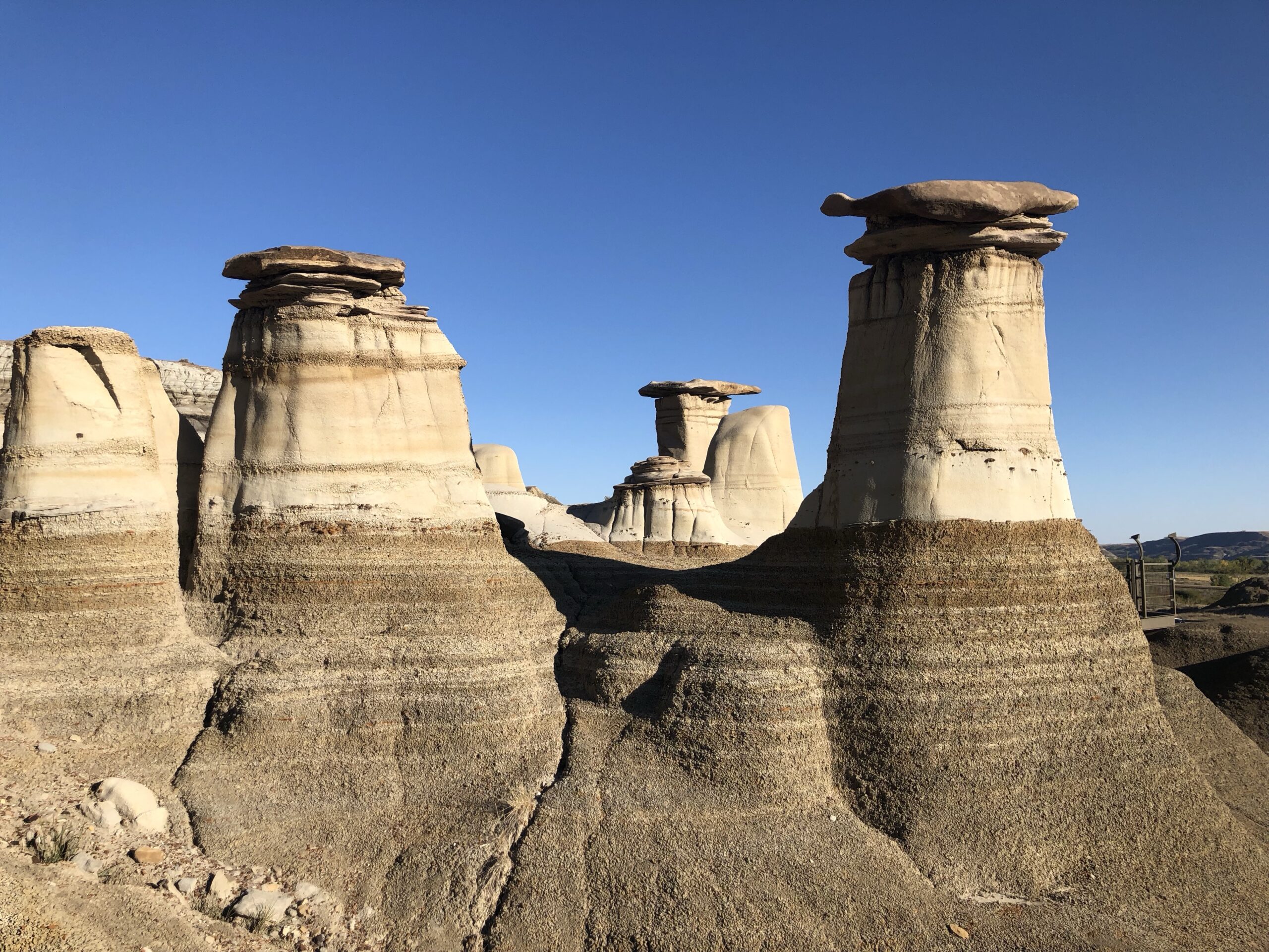 Royal Tyrell Dinosaur Museum. Drumheller, Alberta