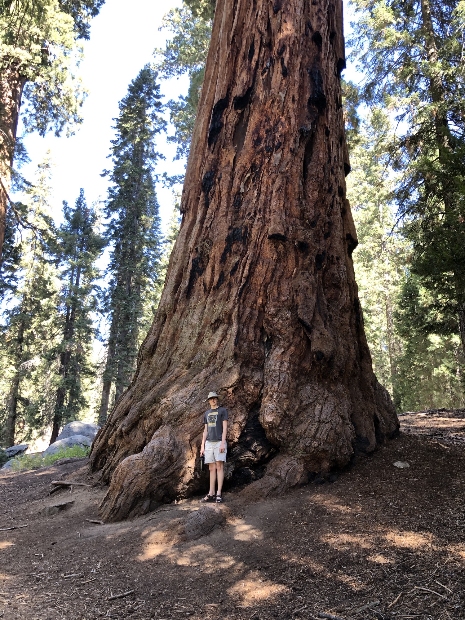 Sequoia National Forest, CA