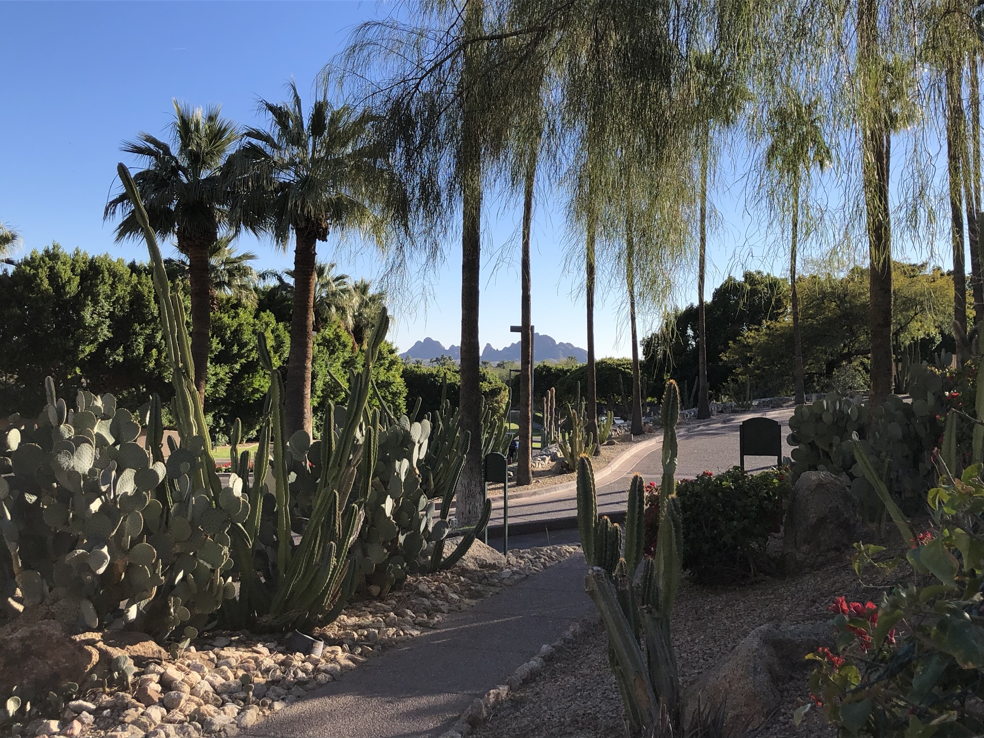Phoenix, AZ